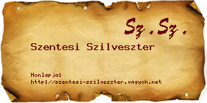 Szentesi Szilveszter névjegykártya